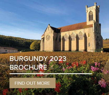 Burgundy 2023 En Primeur